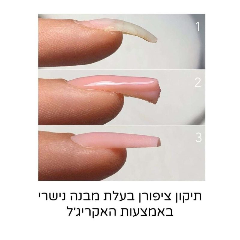 פוליגל